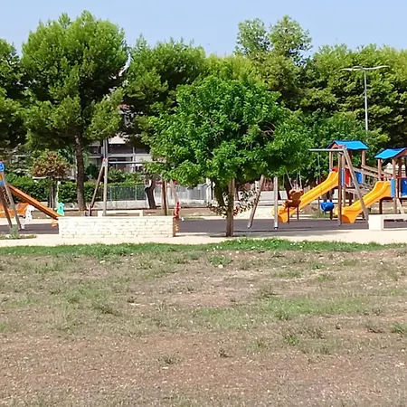 Green54oro בארי