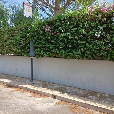 Green54oro 홈스테이